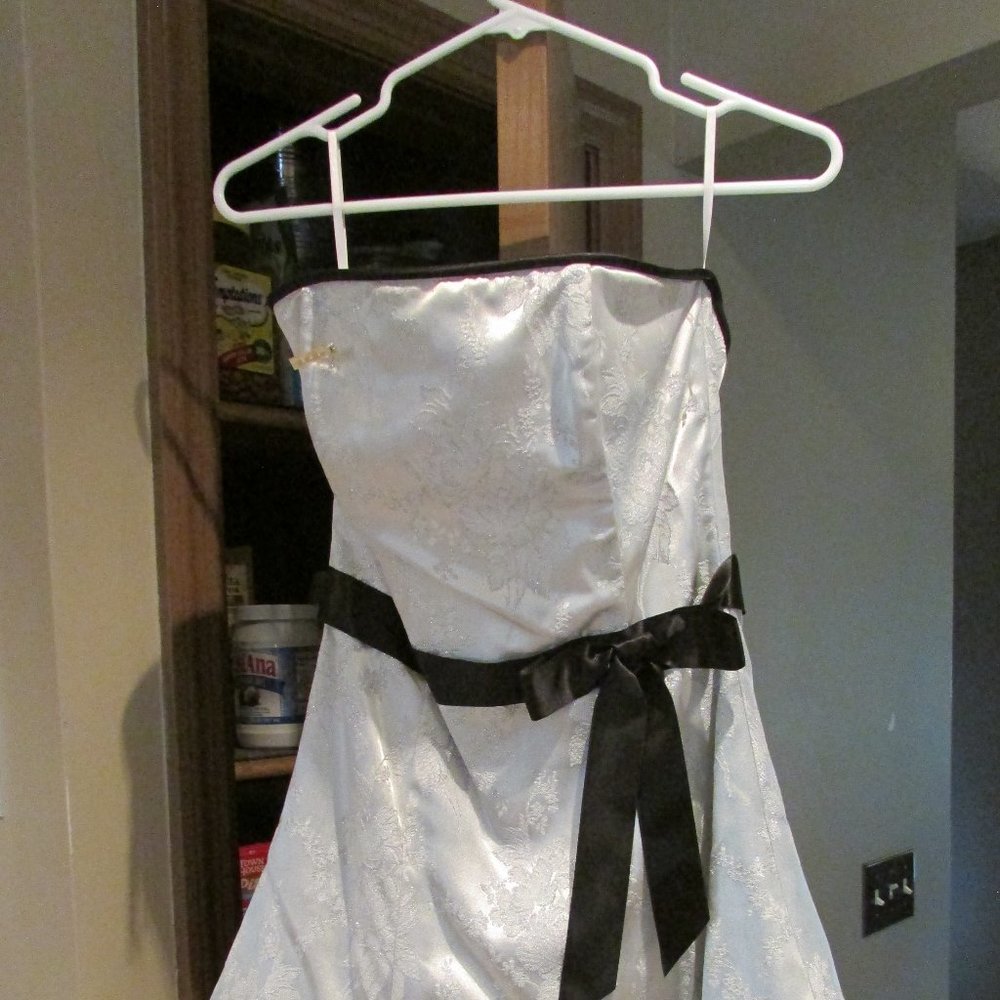 Jessica McClintock Cocktail Dress